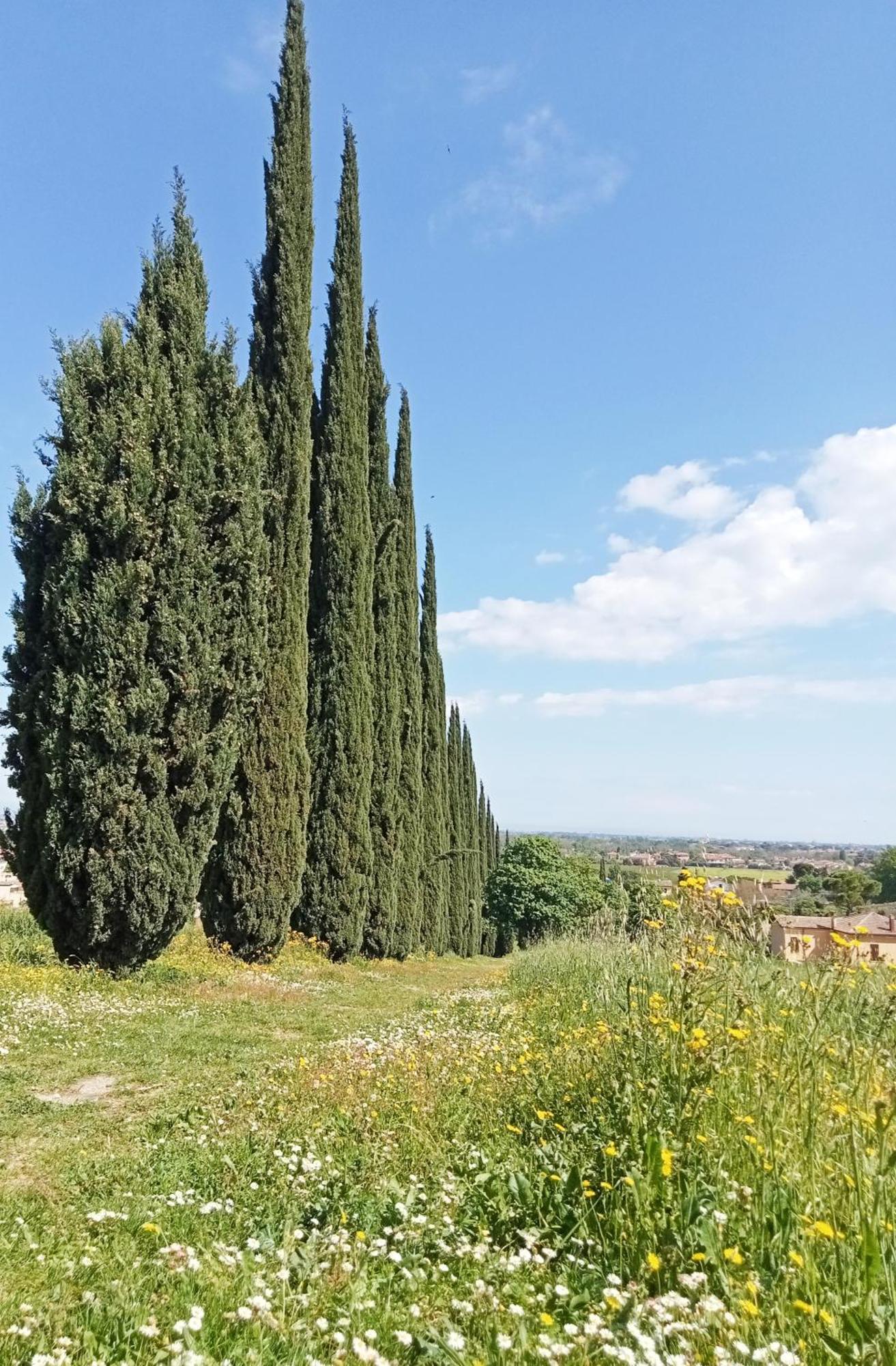Casalice Apartment Santarcangelo di Romagna Bagian luar foto